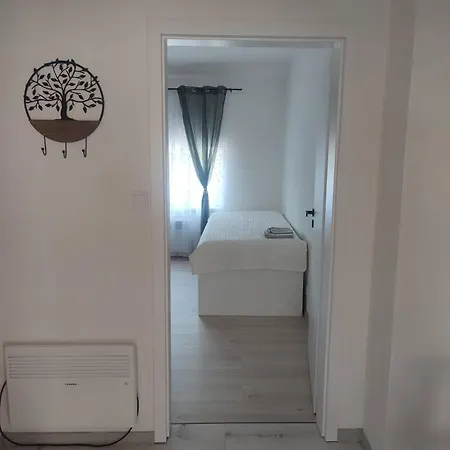 Tulipan Kokava * Kokava nad Rimavicou