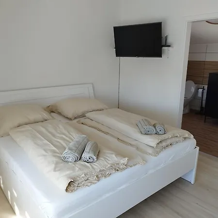 Tulipan Kokava Kokava nad Rimavicou