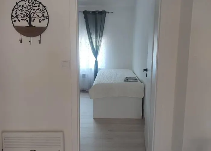 Tulipan Kokava * Kokava nad Rimavicou