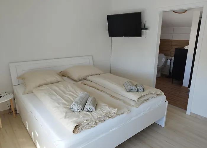 Tulipan Kokava Kokava nad Rimavicou